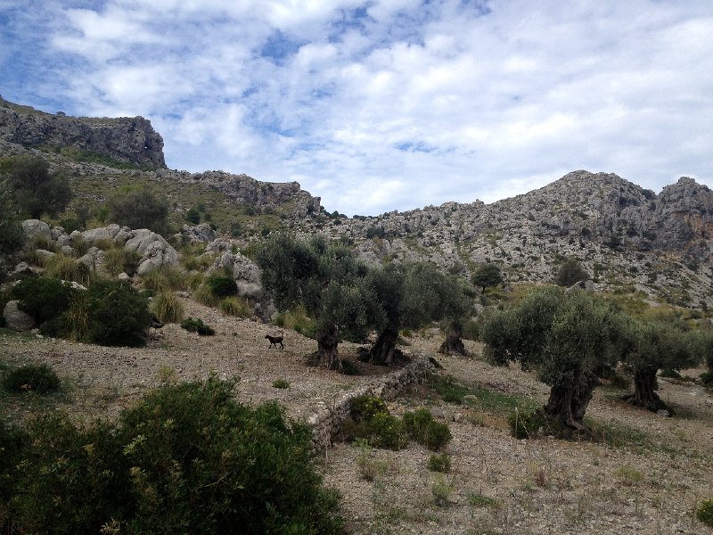 IMG_4328.JPG - Mortitx