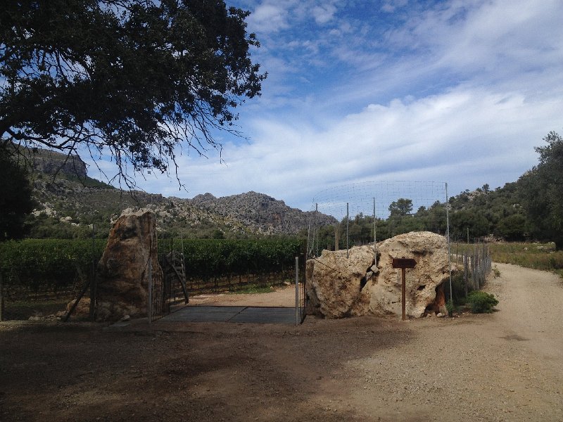 IMG_4330.JPG - Weingut Mortitx