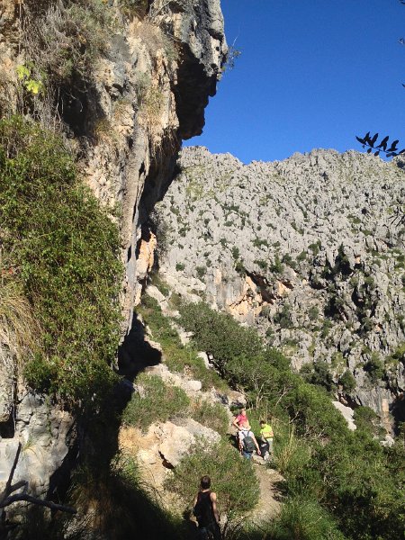IMG_4398.jpg - Kurzer Halt im steilen Abstieg