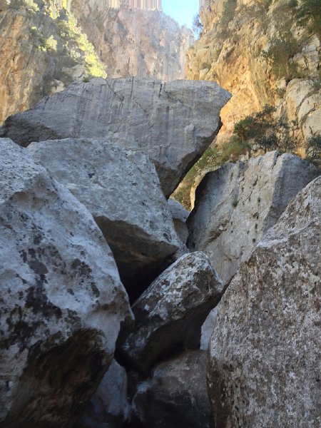 IMG_4433.jpg - Torrent de Parreis