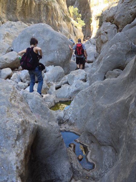 IMG_4455.jpg - Nicht in die Pf�tzen fallen !