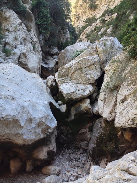 IMG_4459.jpg - Diese Stelle wird rechts �ber einen steilen Pfad umgangen