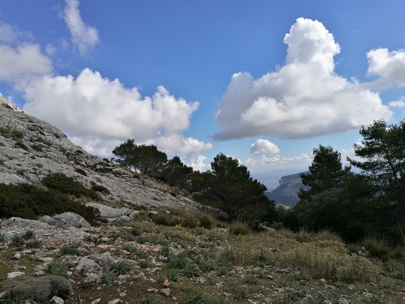 IMG_20170214_135005.jpg - sdr