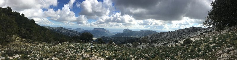 IMG_3103.jpg