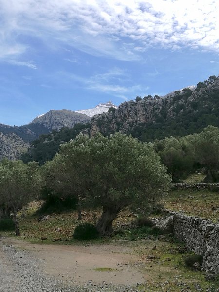IMG_20170210_111650.jpg - dig