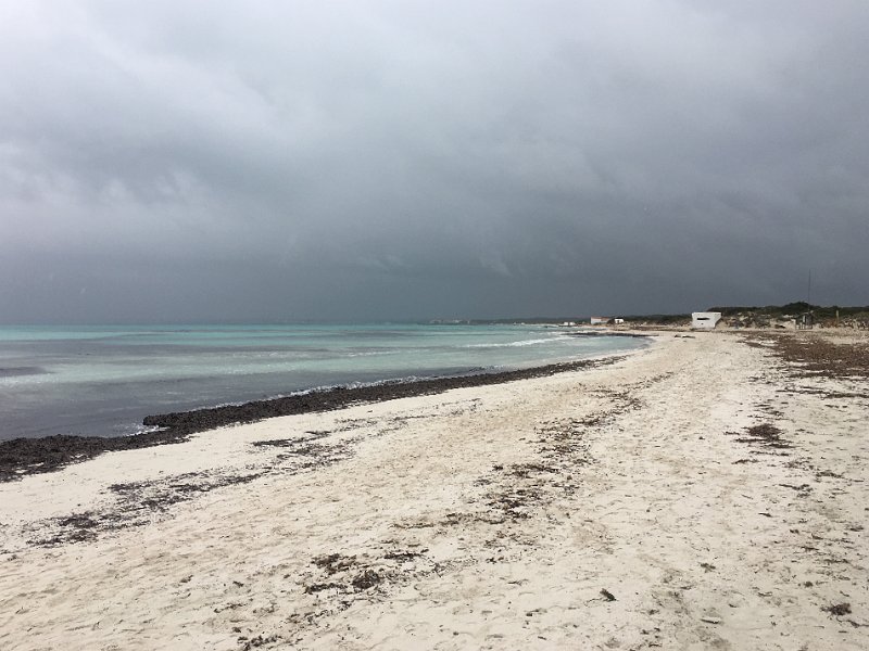 IMG_5028.jpg - Regen-Strand