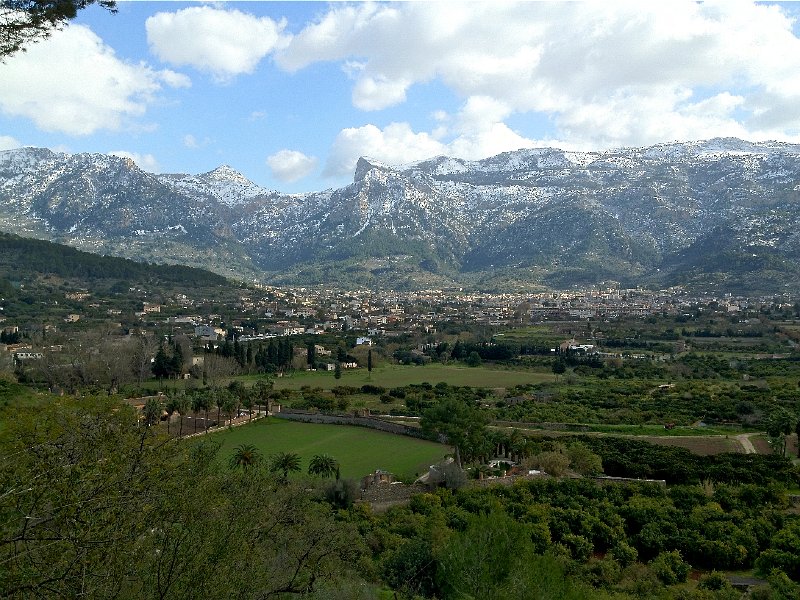 Mallorca_12_05.jpg - S�ller und die Serra d'Alf�bia