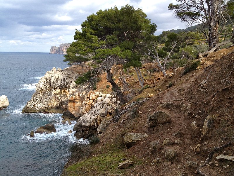 Mallorca_12_14.jpg - Cala de Dei� - Lluc Alcari