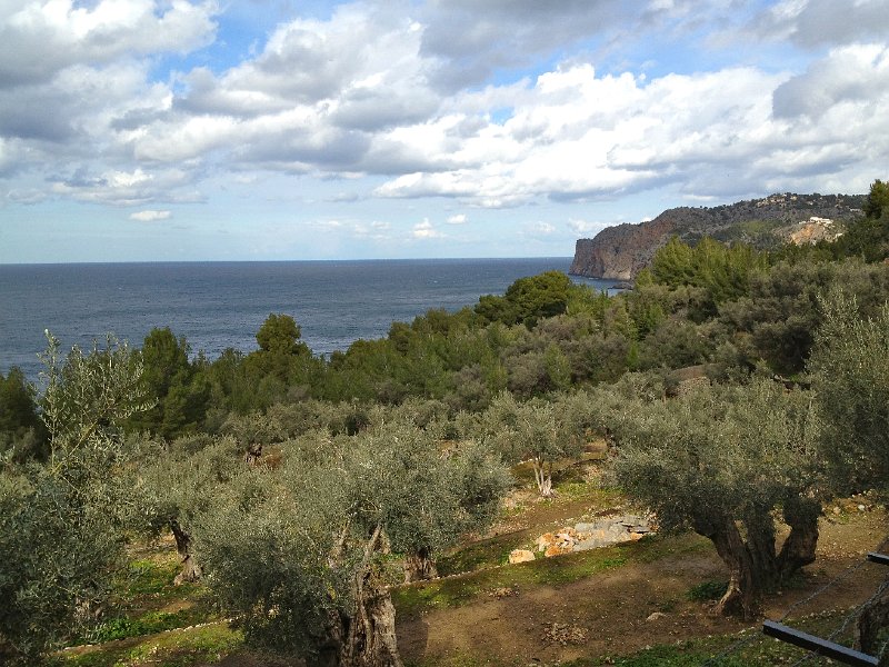 Mallorca_12_16.jpg - Bei Lluc Alcari