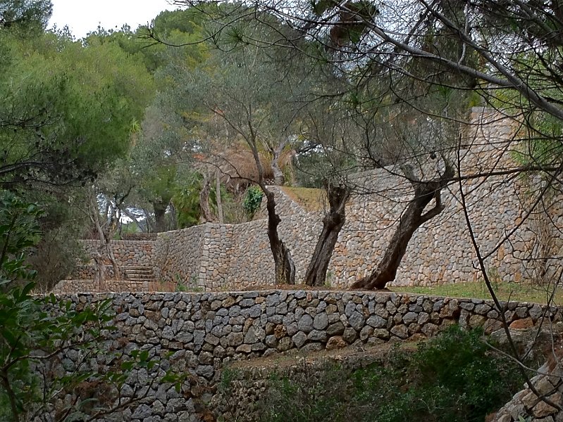 Mallorca_12_18.jpg - Im Aufstieg nach Lluc Alcari