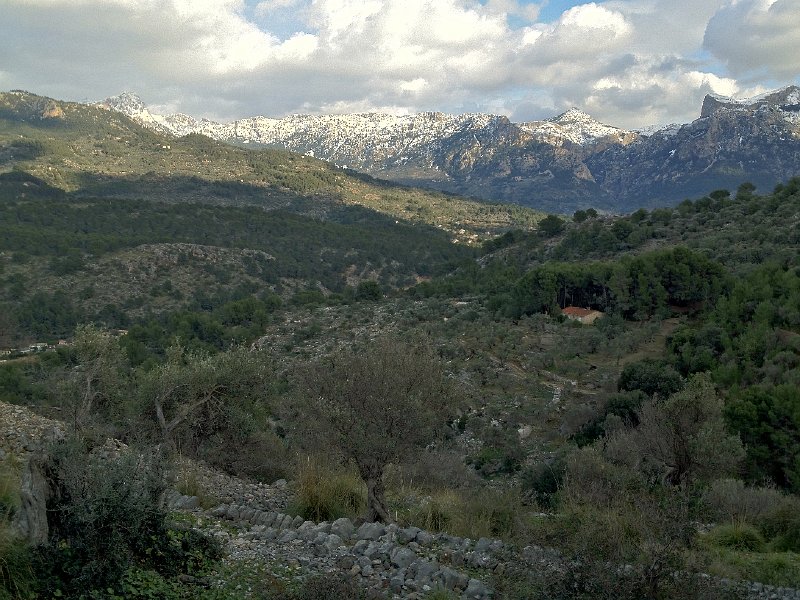 Mallorca_12_28.jpg - Ausblick auf die Serra Tramuntana von Ca S'Hereu aus