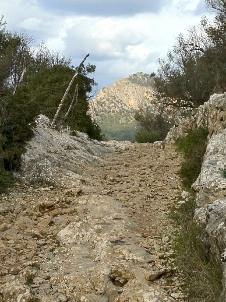 Mallorca_12_29.jpg - Kurz vor Ca s'Hereu