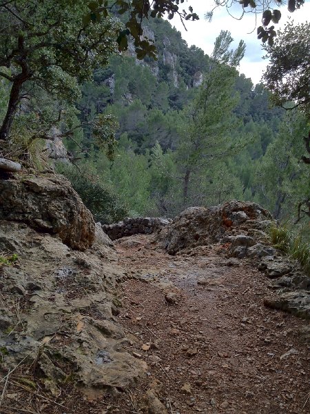 Mallorca_12_32.jpg - Cam� Veill oder Cam� de Castell�