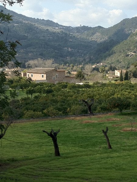 Mallorca_12_33.jpg - Blick vom Talgrund in Richtung Son Mico/Can Bleda