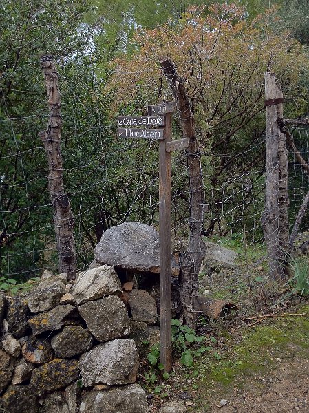 Mallorca_12_40.jpg - Im Abstieg zur Cala de Dei� �ber Son Bujosa