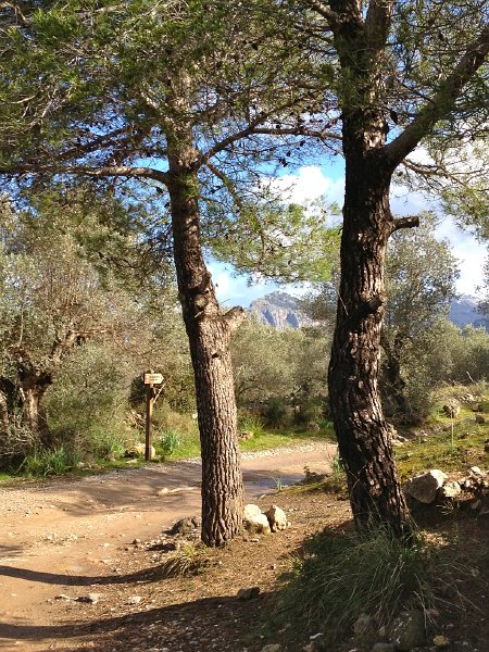 Mallorca_12_42.jpg - Richtung Muleta Gran