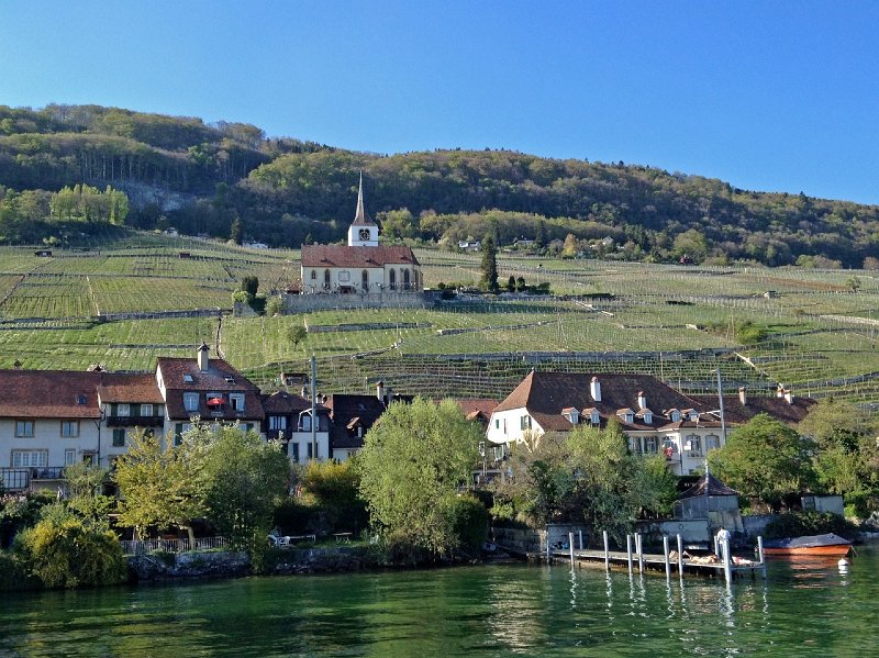 Bild.jpg - Ligerz