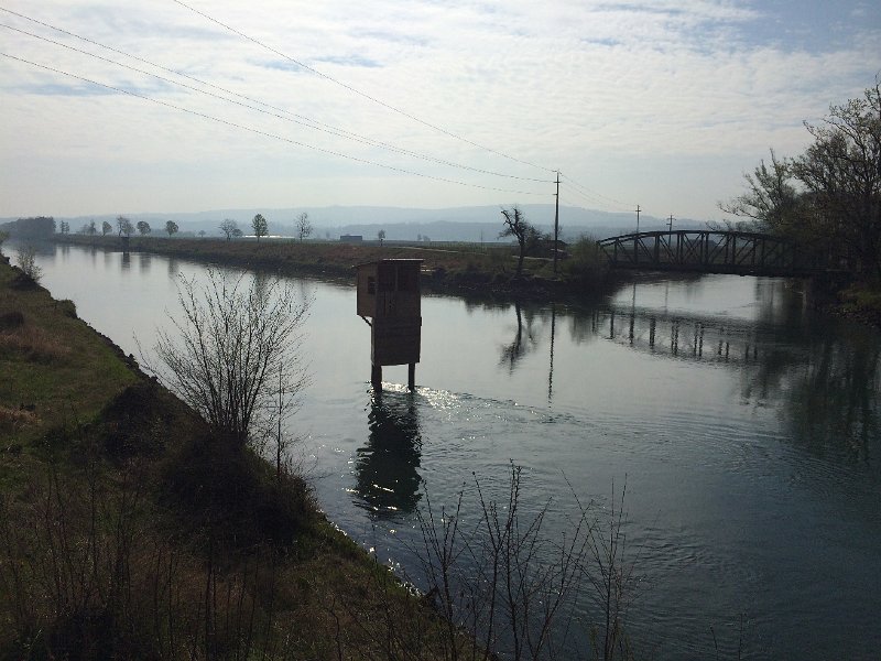 IMG_6269.jpg - Hagneckkanal und Unterwaserkanal (rechts)