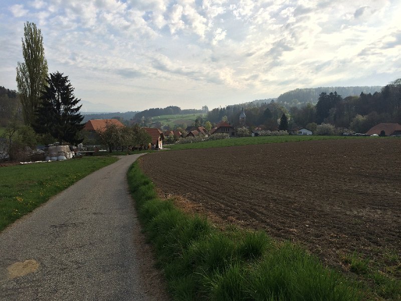 IMG_6178.jpg - M�hledorf, Morgenstimmung