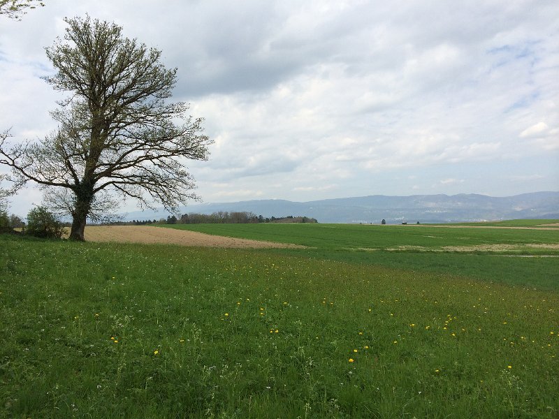 IMG_6206.jpg - Diessbach, Blick zum Chasseral