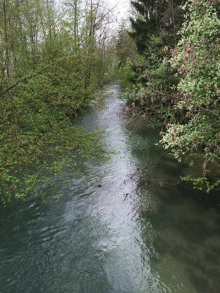 IMG_6221.jpg - Alte Aare bei Lyss