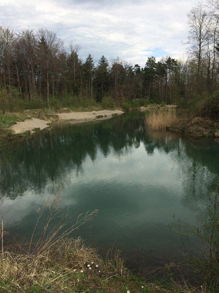 IMG_6230.jpg - Alte Aare