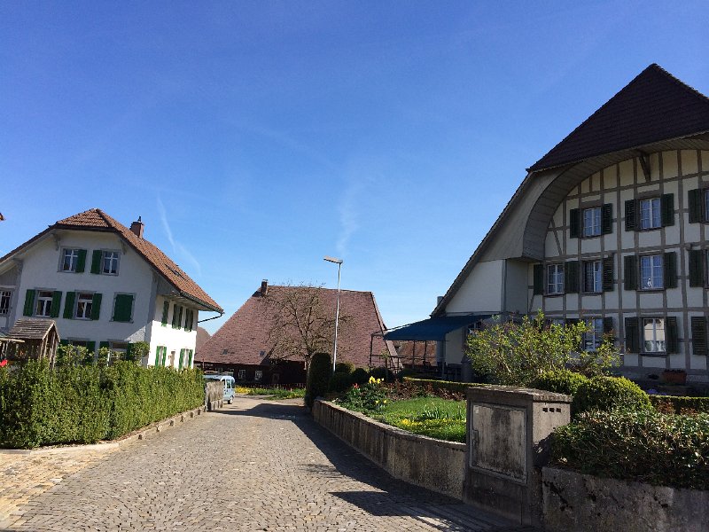 IMG_6035.jpg - Herzogenbuchsee