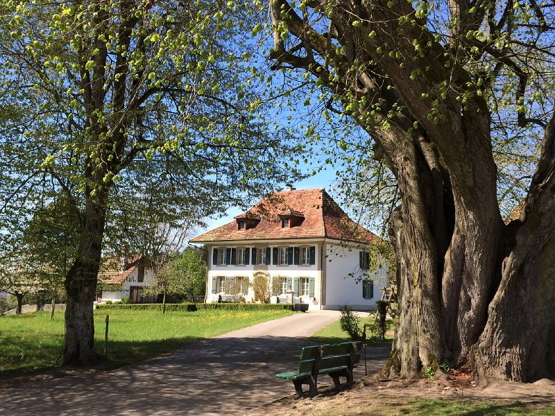IMG_6041.jpg - Seeberg, Pfarrhaus