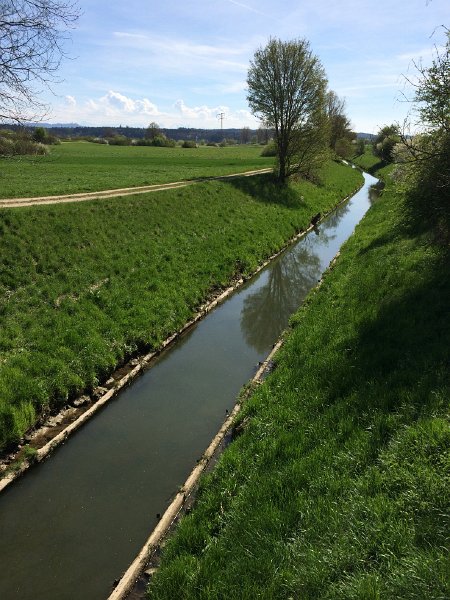 IMG_6085.jpg - Limpach