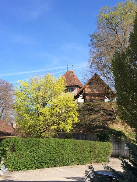 IMG_6097.jpg - Schloss Buchegg