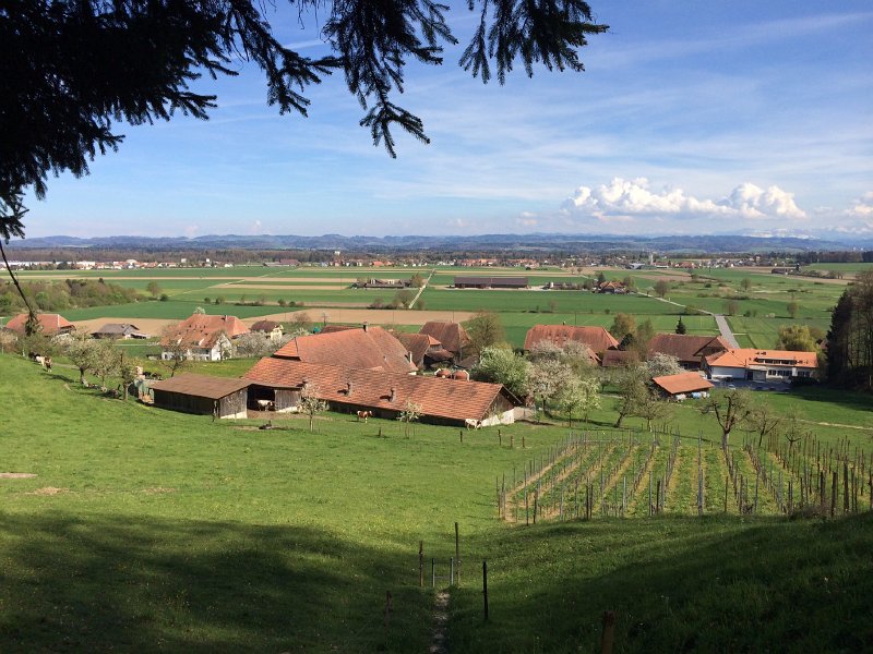 IMG_6169.jpg - Blick �bers Mittelland