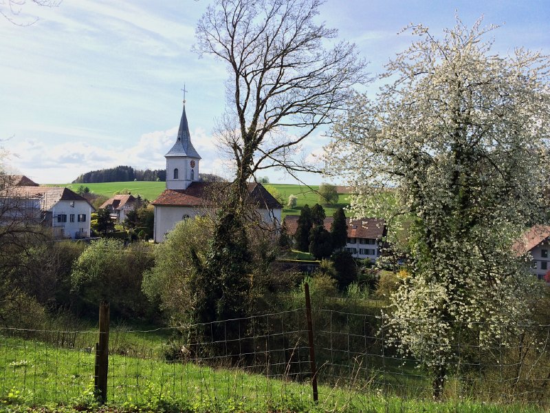 IMG_6172.jpg - M�hledorf