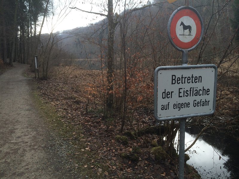 IMG_5712.jpg - Egelsee - Ende Februar