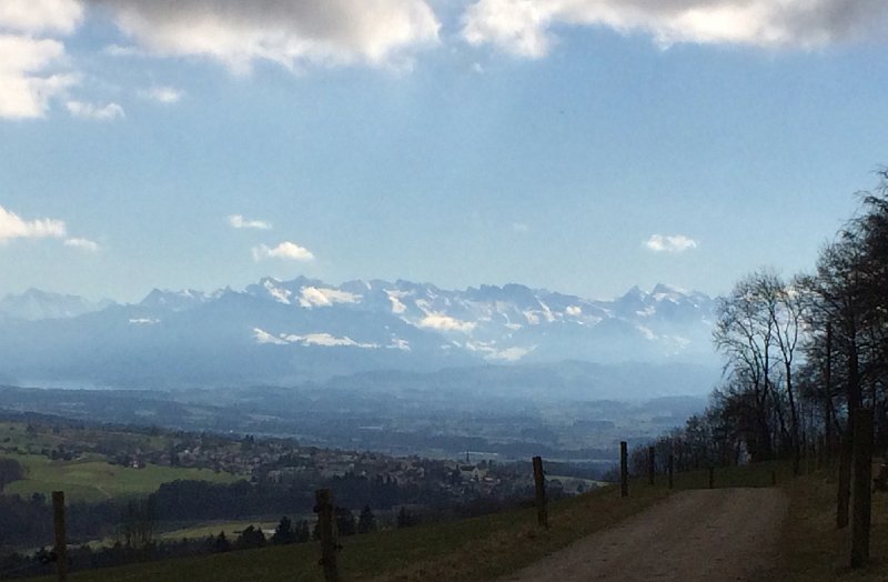 IMG_5717.jpg - Aussicht vom Hasenberg in die Glarner Alpen