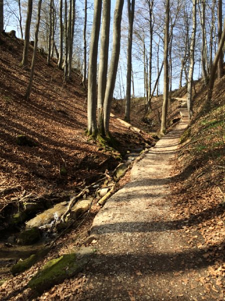 IMG_5877.jpg - Oberhalb Leutwil