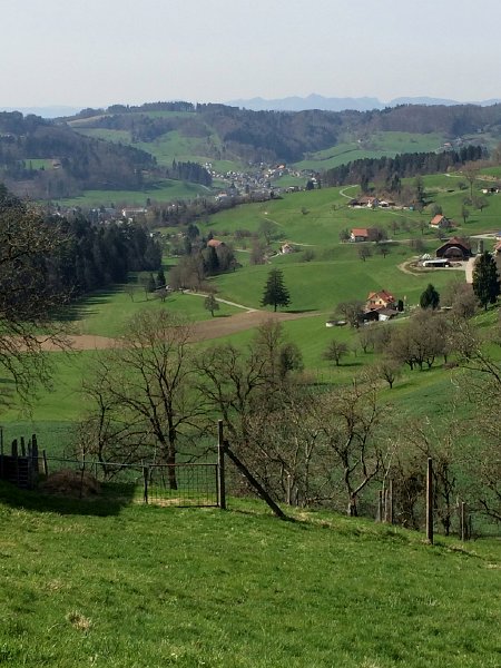 IMG_5887.jpg - Sod b. Oberkulm