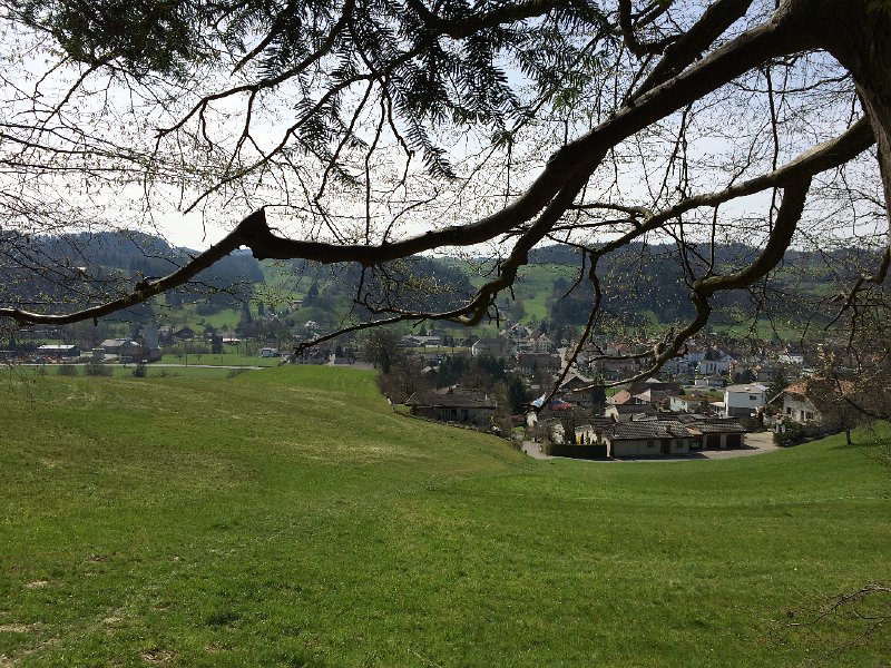 IMG_5889.jpg - Oberkulm
