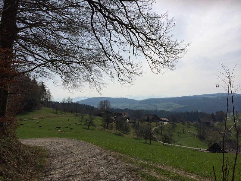 IMG_6140.jpg - Sod b. Oberkulm
