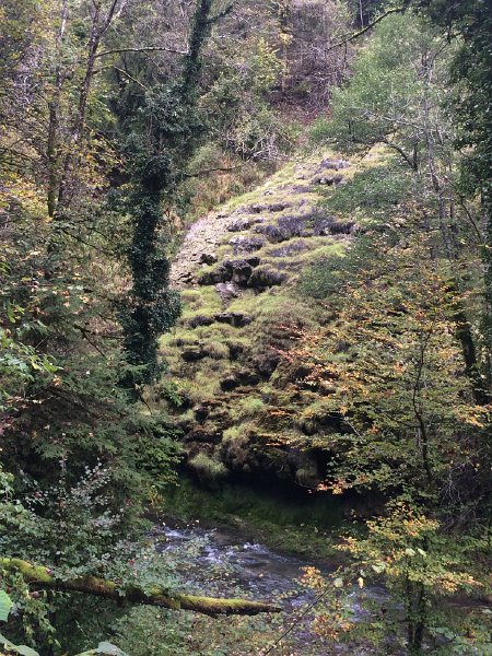 IMG_8200.jpg - Feuchte Schlucht