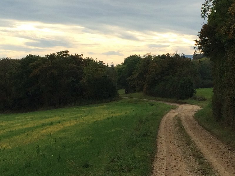 IMG_8251.jpg - Weg am Abend