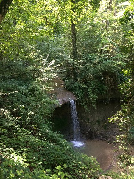 IMG_7638.jpg - Feuchte Wege