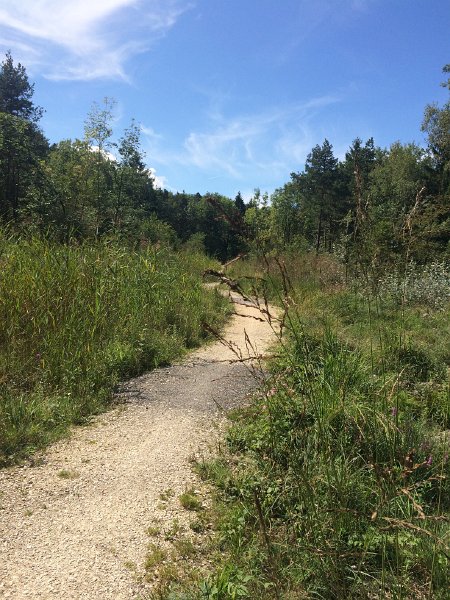 IMG_7641.jpg - Neue Wege