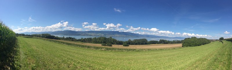 IMG_7674.jpg - Seepanorama