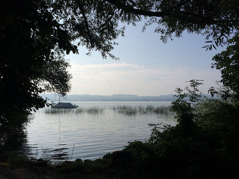 IMG_7468.jpg - Morgenstimmung am Murtensee