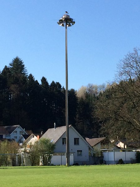 IMG_5982.jpg - Brittnau, Storchennest