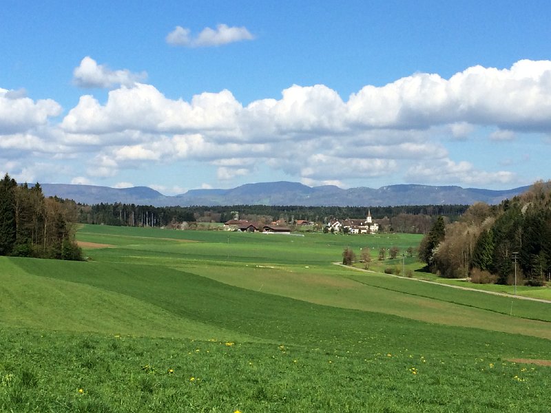 IMG_5991.jpg - Vordemwald