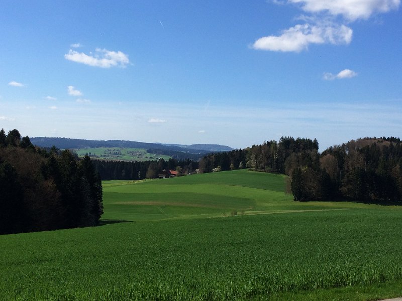 IMG_5998.jpg - Bei Balzenwil