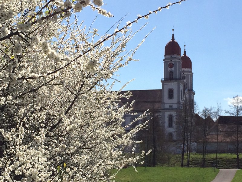 IMG_6010.jpg - St. Urban