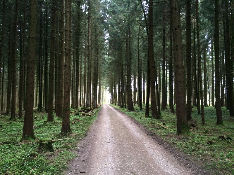 IMG_5960.jpg - Wikon/LU, Riedwald