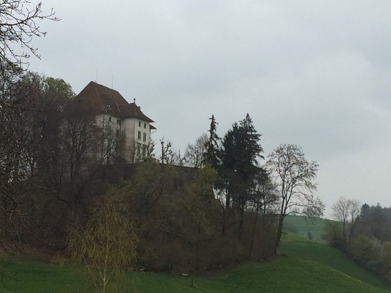IMG_6141.jpg - Schlossrued